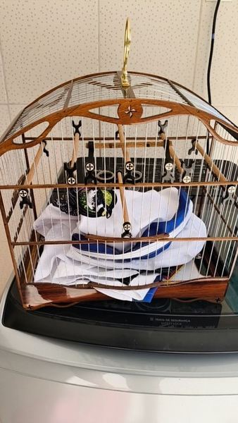 Foto da avaliação de Rafa Barreto