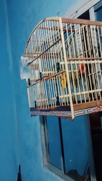 Foto da avaliação de Eriton Gomes