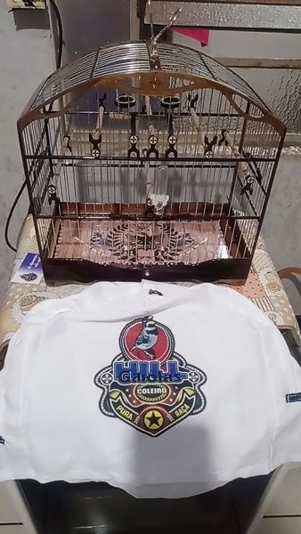 Foto da avaliação de Tato Ramires