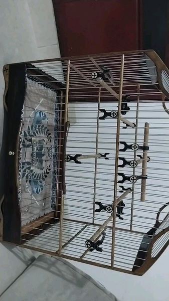 Foto da avaliação de Roro Gonzaga