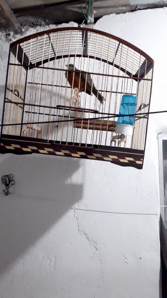 Foto da avaliação de Haroldo Sales